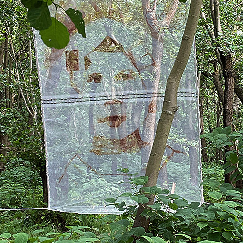 Kunstschouw Westerschouwen